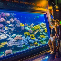 Oceanographic Museum of Monaco Photo 2