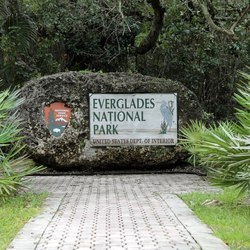 Everglades National Park Photo 5