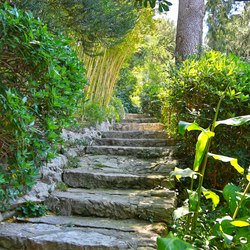 Villa Ephrussi de Rothschild Photo 16