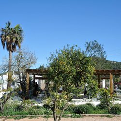 Aubergine Ibiza Photo 9
