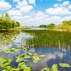 Everglades National Park Photo 8