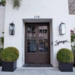 Spago of Beverly Hills Photo 2