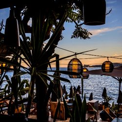 Eden Plage Mala Photo 6