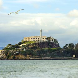 Alcatraz Island Photo 8