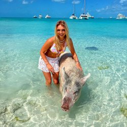 Pig Beach Photo 27