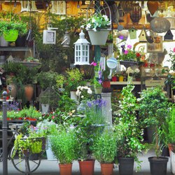 Place Des Lices Market Photo 31