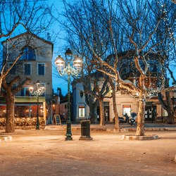 Place Des Lices Market Photo 5