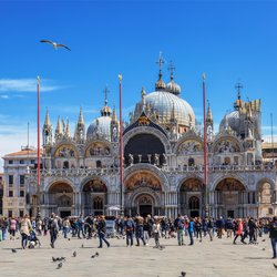 Piazza San Marco (St. Mark's Square) Photo 10