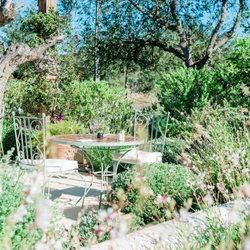 Aubergine Ibiza Photo 11