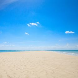 Big Farmer's Cay Sandbar Photo 8