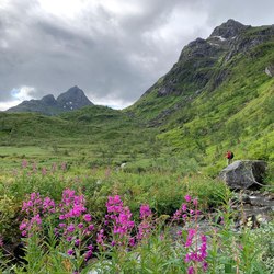 Møysalen National Park Photo 4