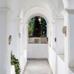 Villa San Michele Photo 15