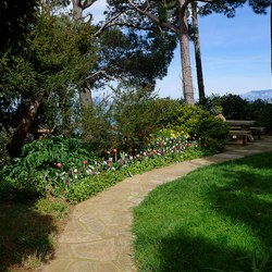 Villa San Michele Photo 16