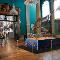 Oceanographic Museum of Monaco Photo 7