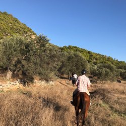 Aponisos Horseback Riding  Photo 2