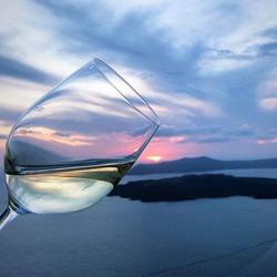 Santo Wines Photo 12