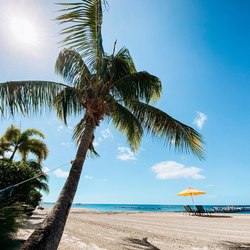 The Four Seasons Spa, Nevis Photo 2
