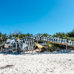 Whale of Warderick Wells Photo 3