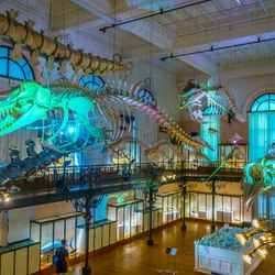 Oceanographic Museum of Monaco Photo 15