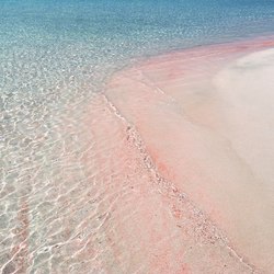 Pink Sand Beach Photo 2