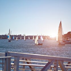 Marina Del Rey Photo 8