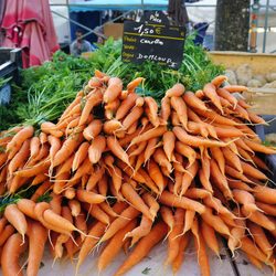 Place Des Lices Market Photo 40