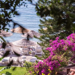 Hillside Beach Club Photo 21