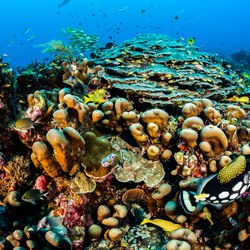 Rhone Marine Park Photo 6