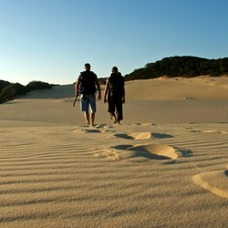 Fraser Island (K’Gari) Photo 10