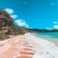Bequia Beach Hotel Photo 16