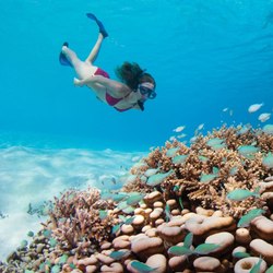 Four Seasons Resort Bora Bora Photo 7