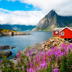 Kayak in Reine Photo 3