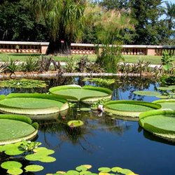 The Val Rahmeh Exotic Garden Photo 3