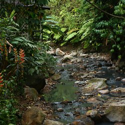 Coconut Bay Beach Resort & Spa Photo 26