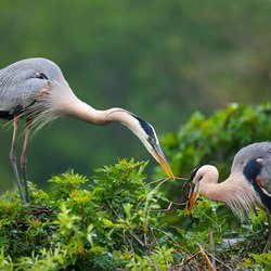 Everglades National Park Photo 4