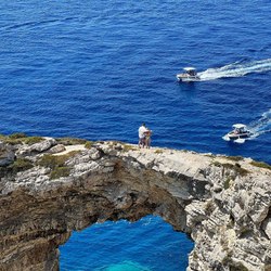 Tripitos Arch Photo 4