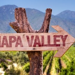 Napa Valley Photo 4