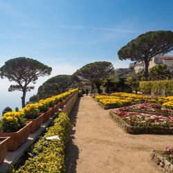 Villa Rufolo Photo 3