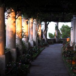 Villa San Michele Photo 10