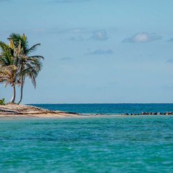 Nisbet Plantation Beach Club  Photo 34