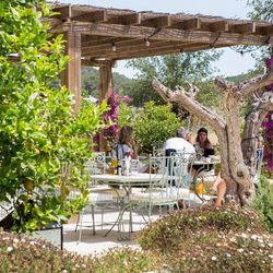 Aubergine Ibiza Photo 3