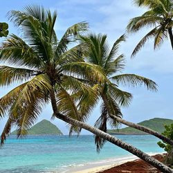 Sandy Island Photo 5