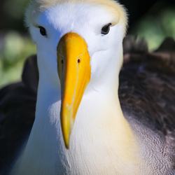 Pinnacle Rock Photo 3