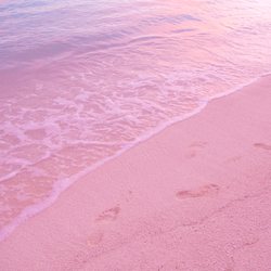 Pink Sand Beach Photo 4