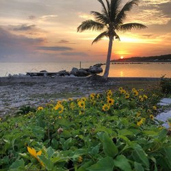 Great Guana Cay  Photo 2