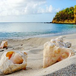 Sandy Island Photo 3