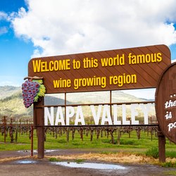 Napa Valley Photo 13