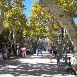 Place Des Lices Market Photo 2