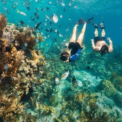 Andros Barrier Reef Photo 2
