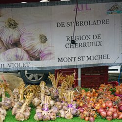 Place Des Lices Market Photo 22